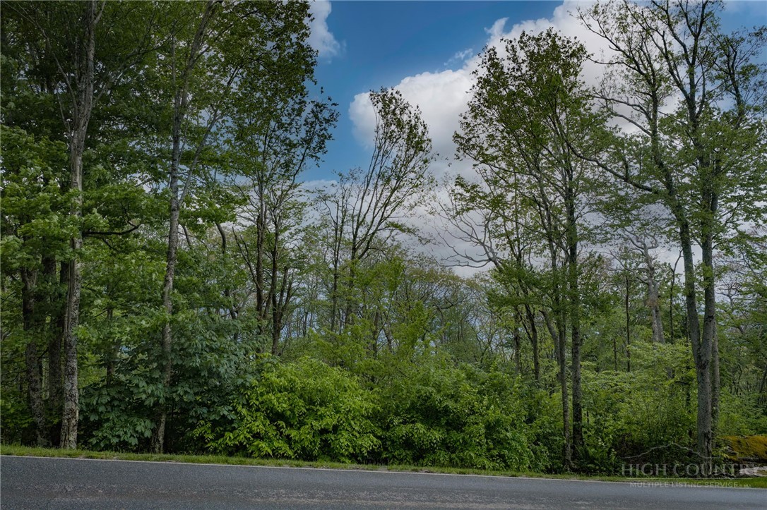 Lot 36 Eagles Nest Trail