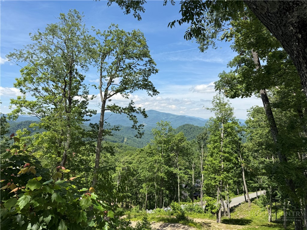 1040 Eagles Nest Trail