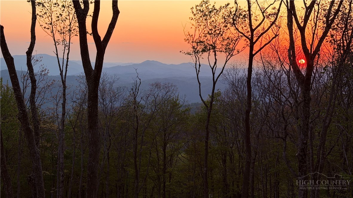278 Timber Rock Trail