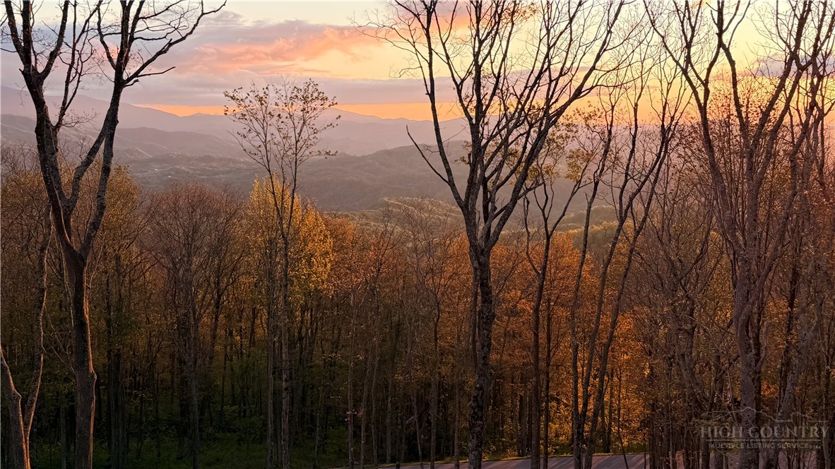 278 Timber Rock Trail