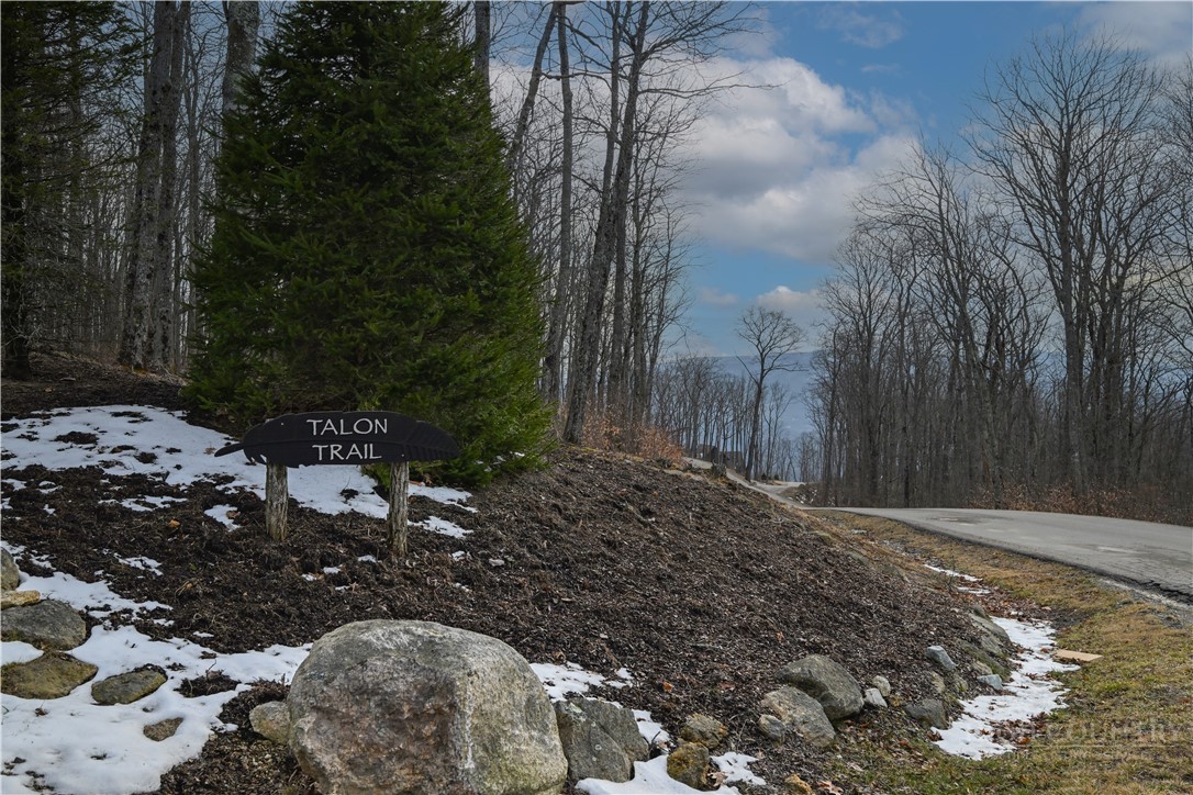 Lot 16C Talon Trail