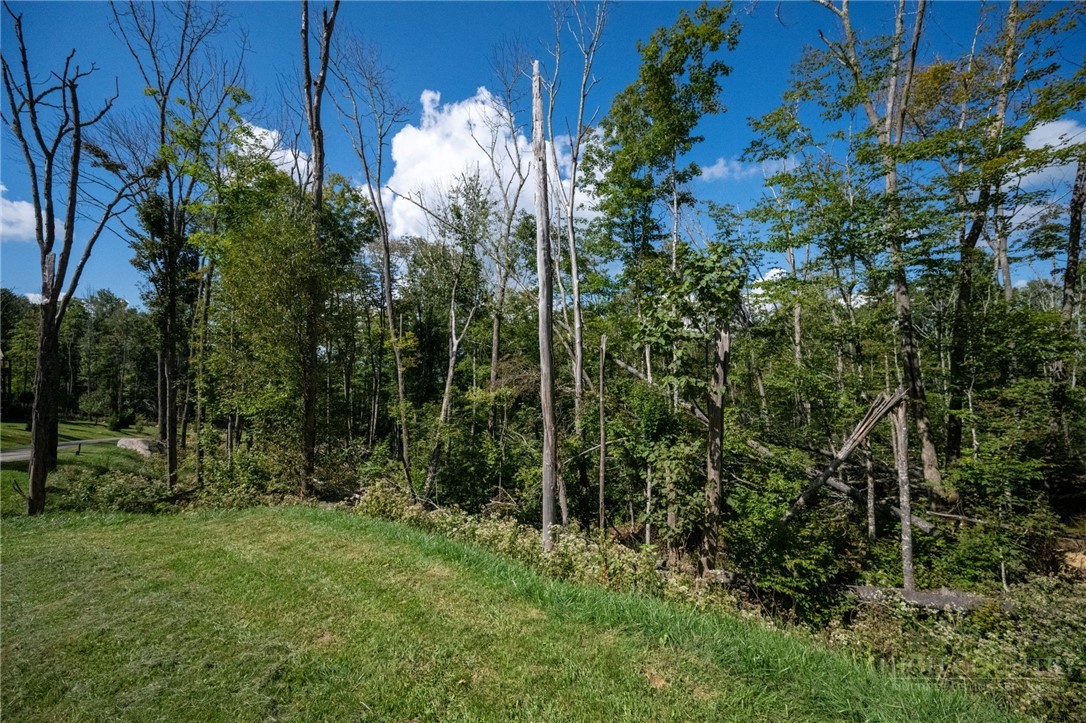 ES94 Twisted Oak Path