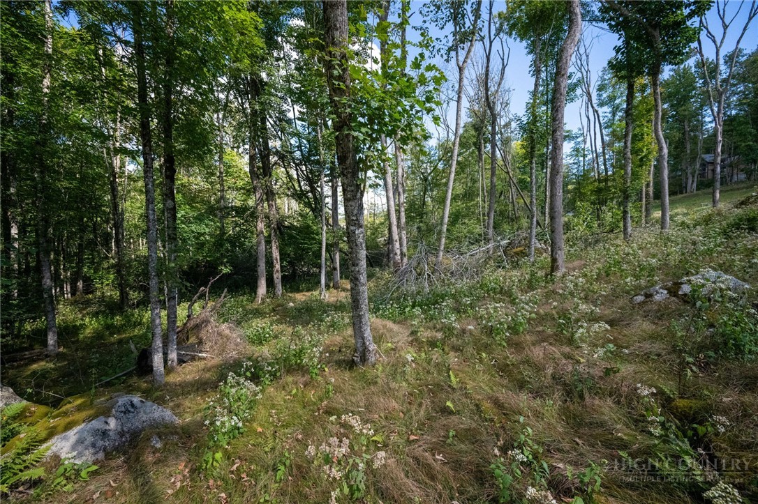 ES94 Twisted Oak Path