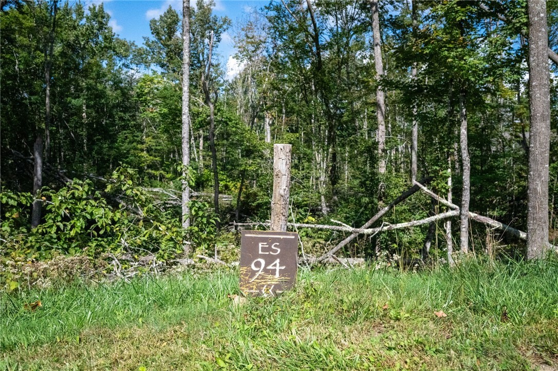 ES94 Twisted Oak Path