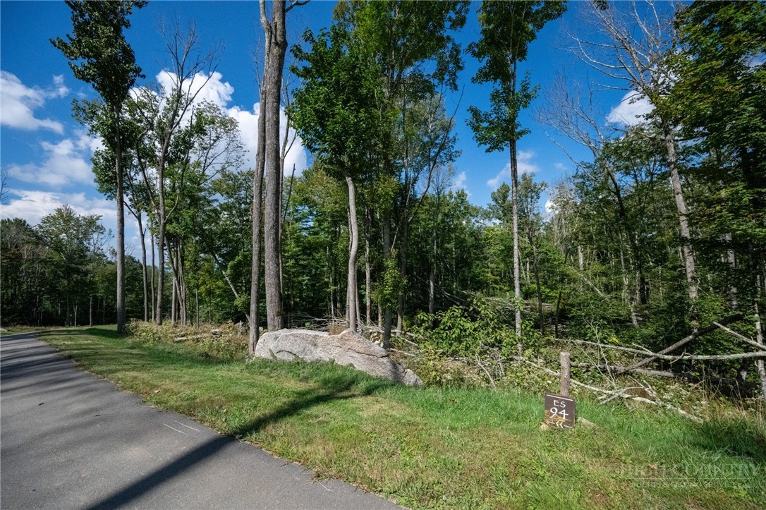 ES94 Twisted Oak Path