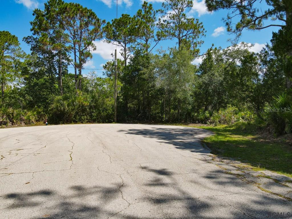 8 PITTMAN PL