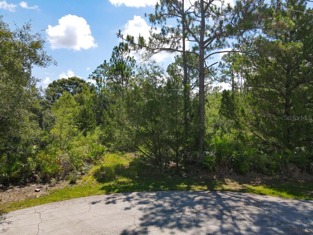 8 PITTMAN PL
