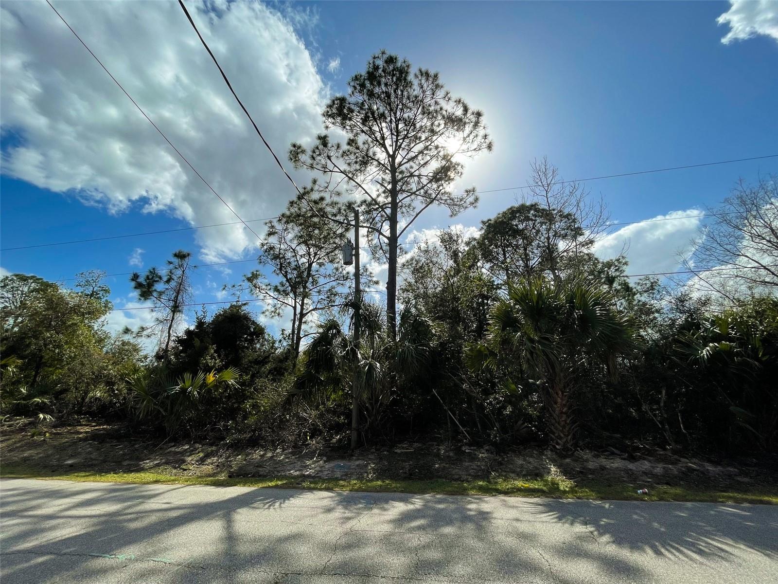 32 ROUND TREE DR