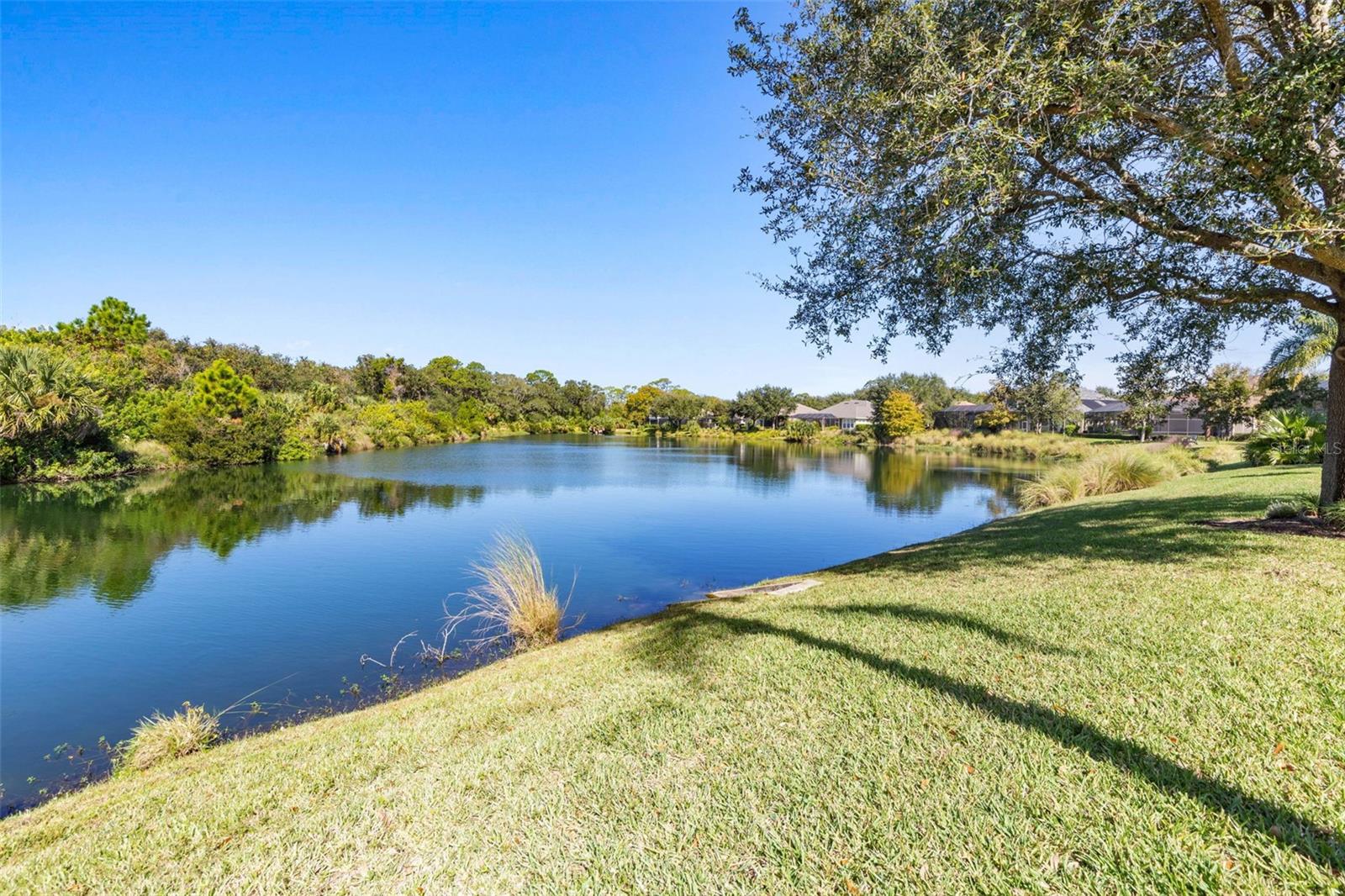 61 RIVER TRAIL DR