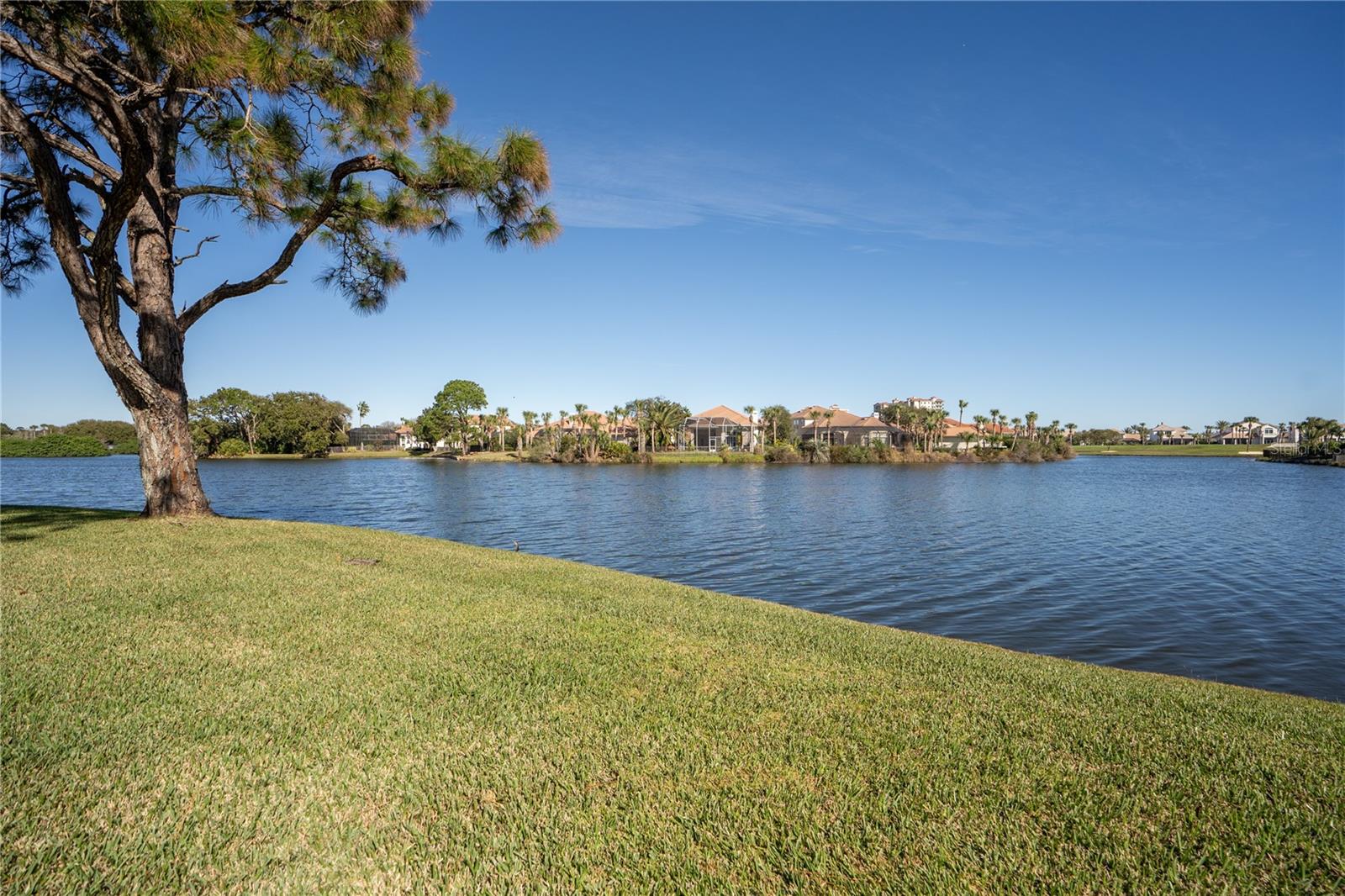 2 LAGUNA CT