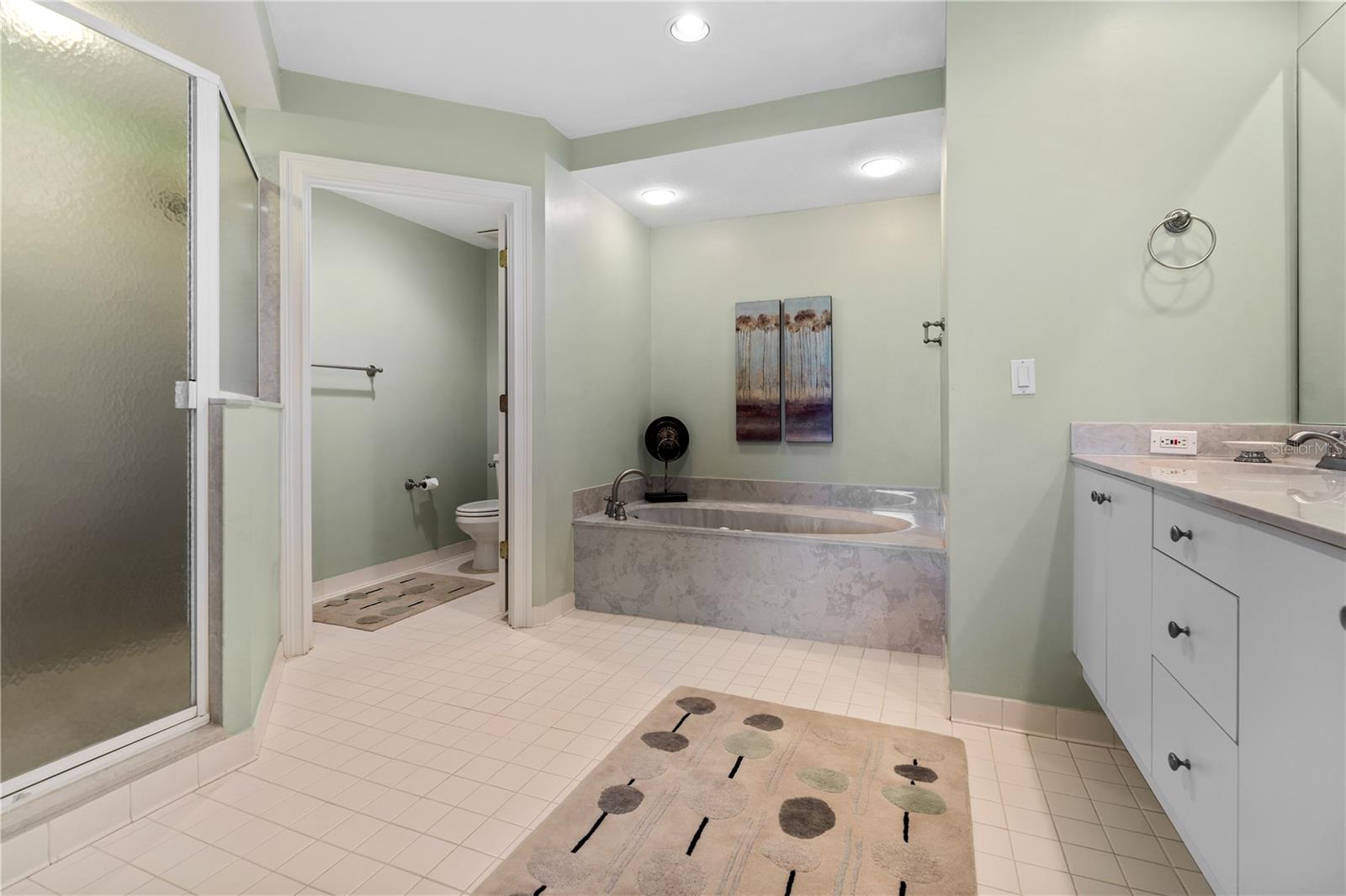 15 AVENUE DE LA MER #2204