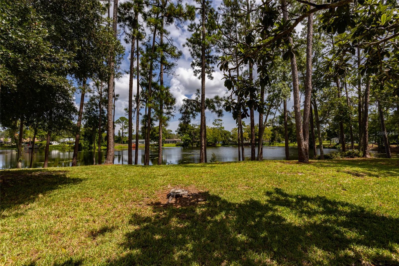 14 KINGS COLONY CT #14