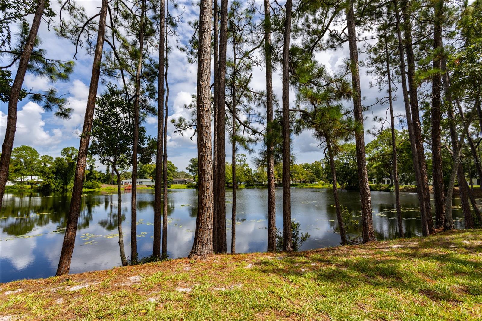 14 KINGS COLONY CT #14