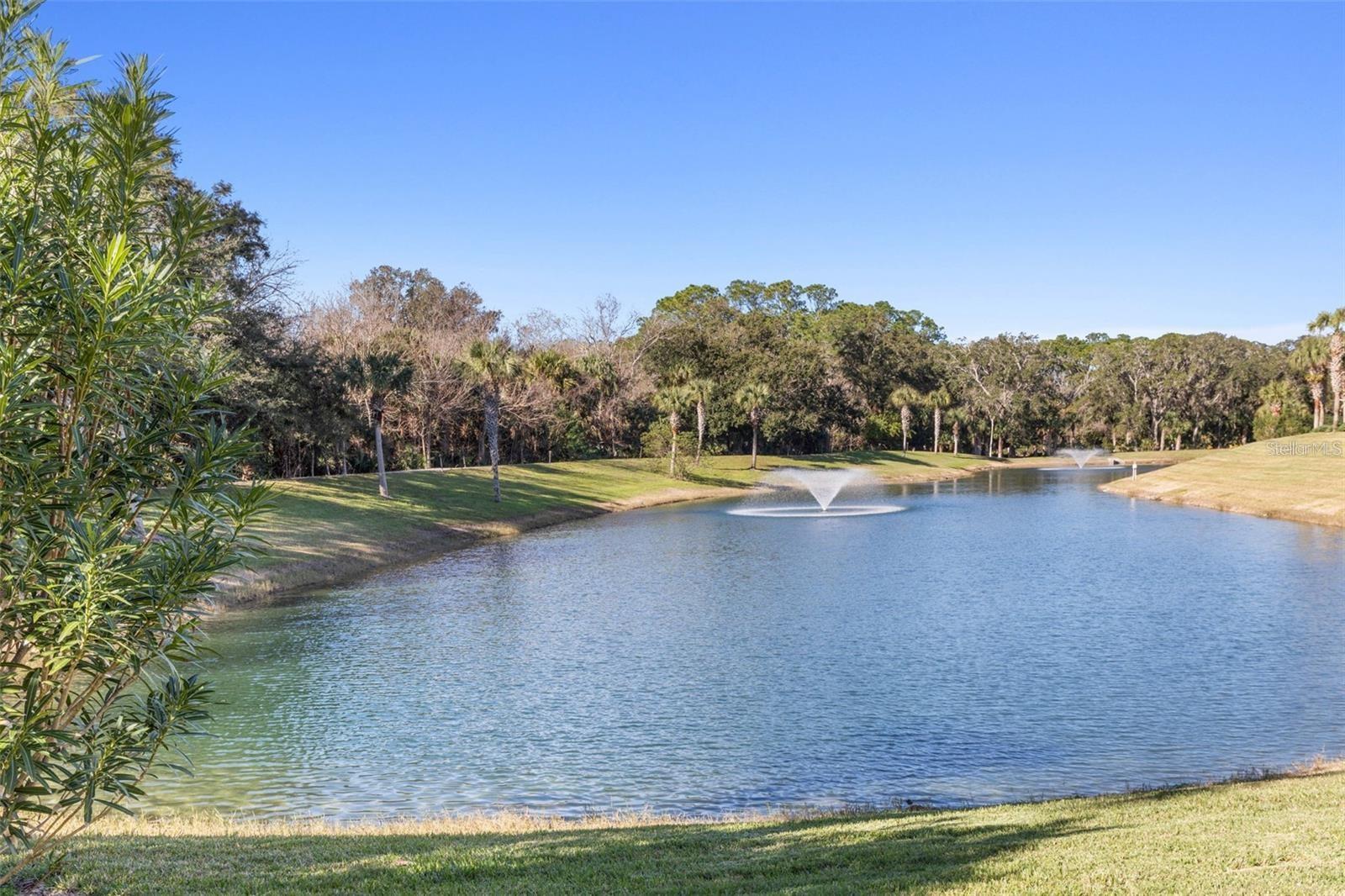 1000 CANOPY WALK LN #1012