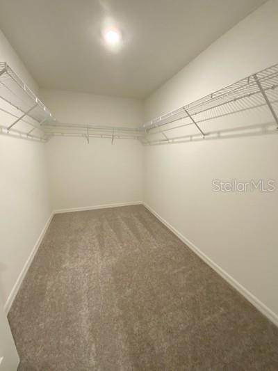 21 WOODWARD LN