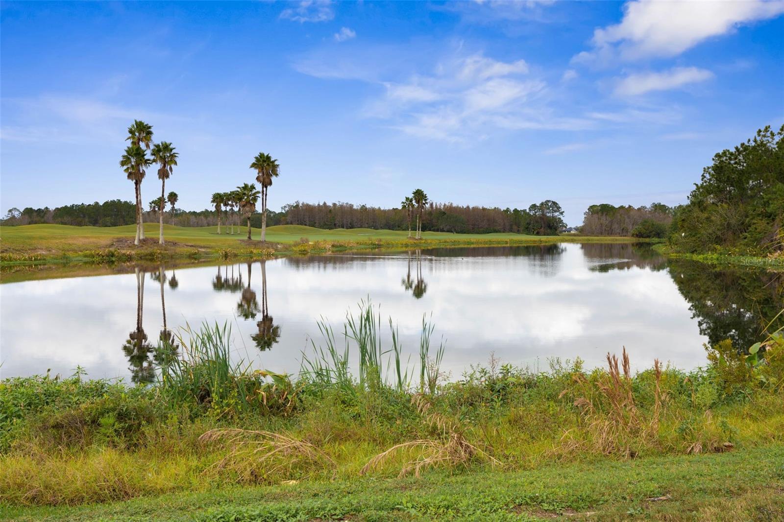 5 CAPTIVA AT LIONSPAW