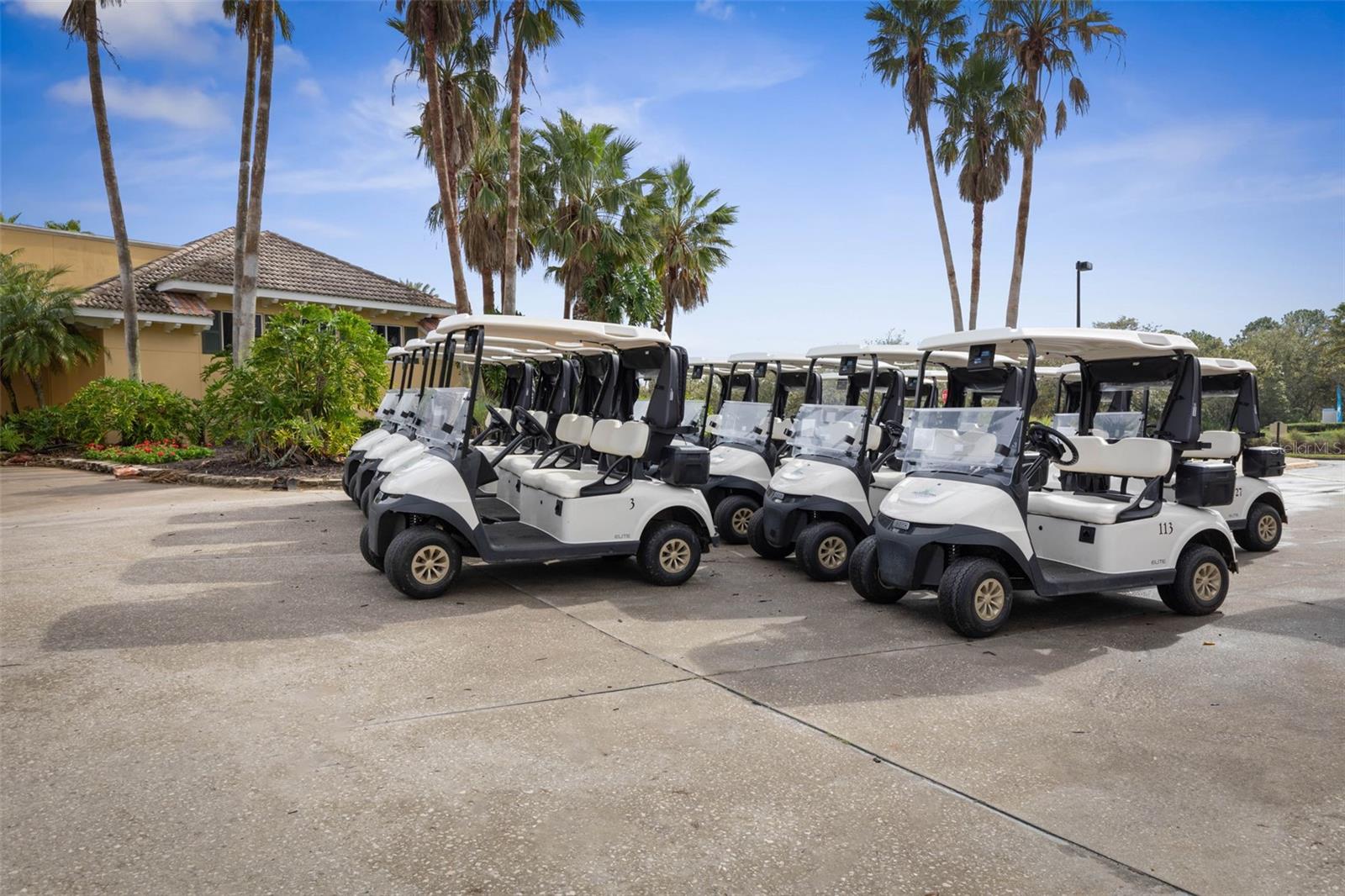 5 CAPTIVA AT LIONSPAW