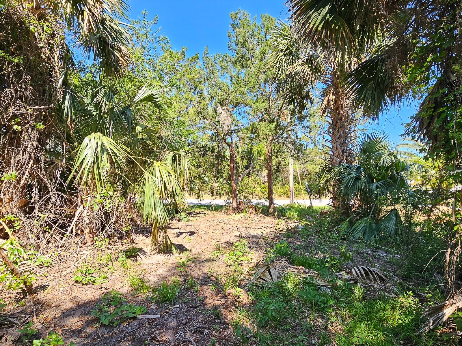 52 COLECHESTER LN