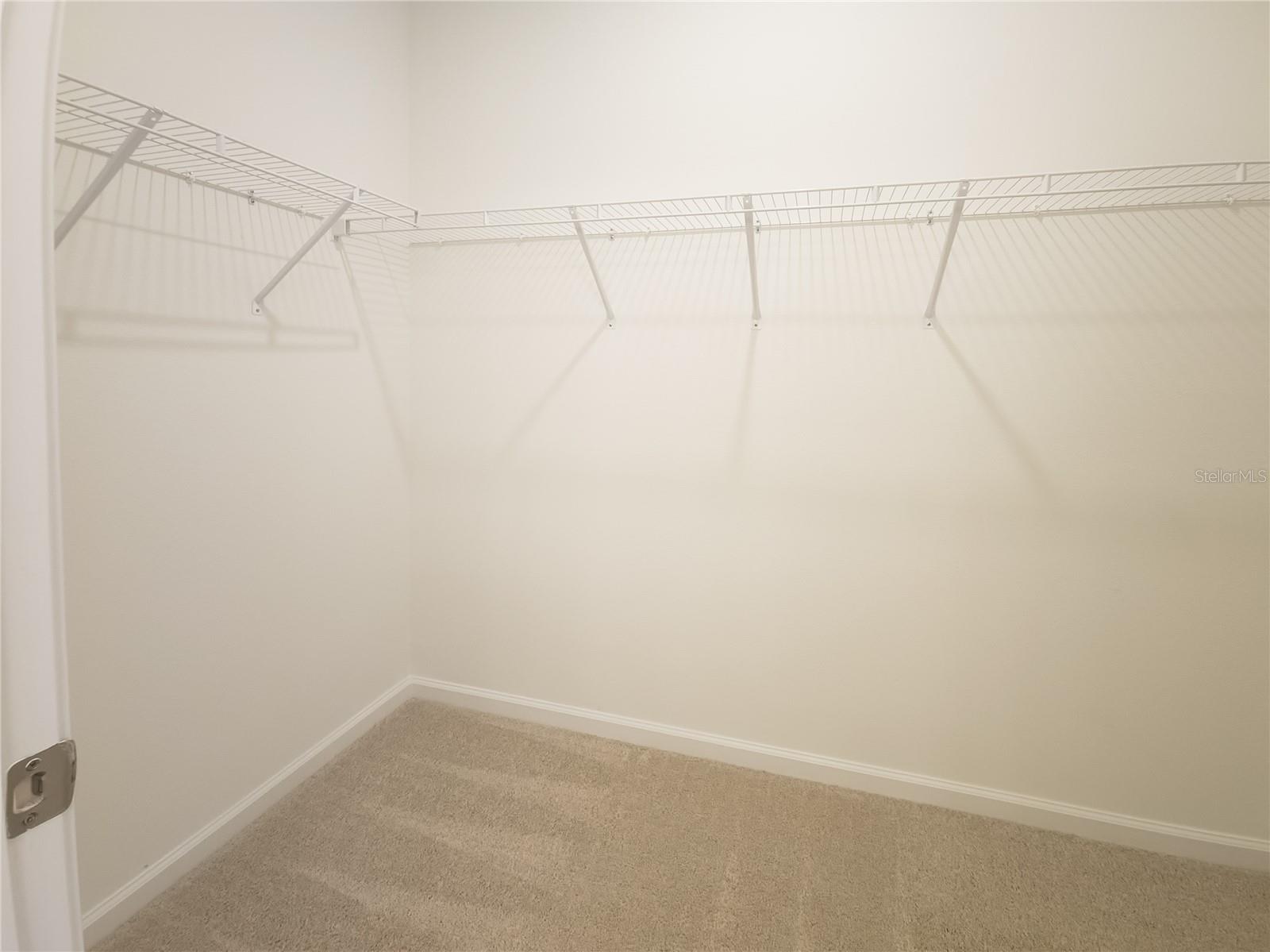 204 MISTY HARBOR TRCE