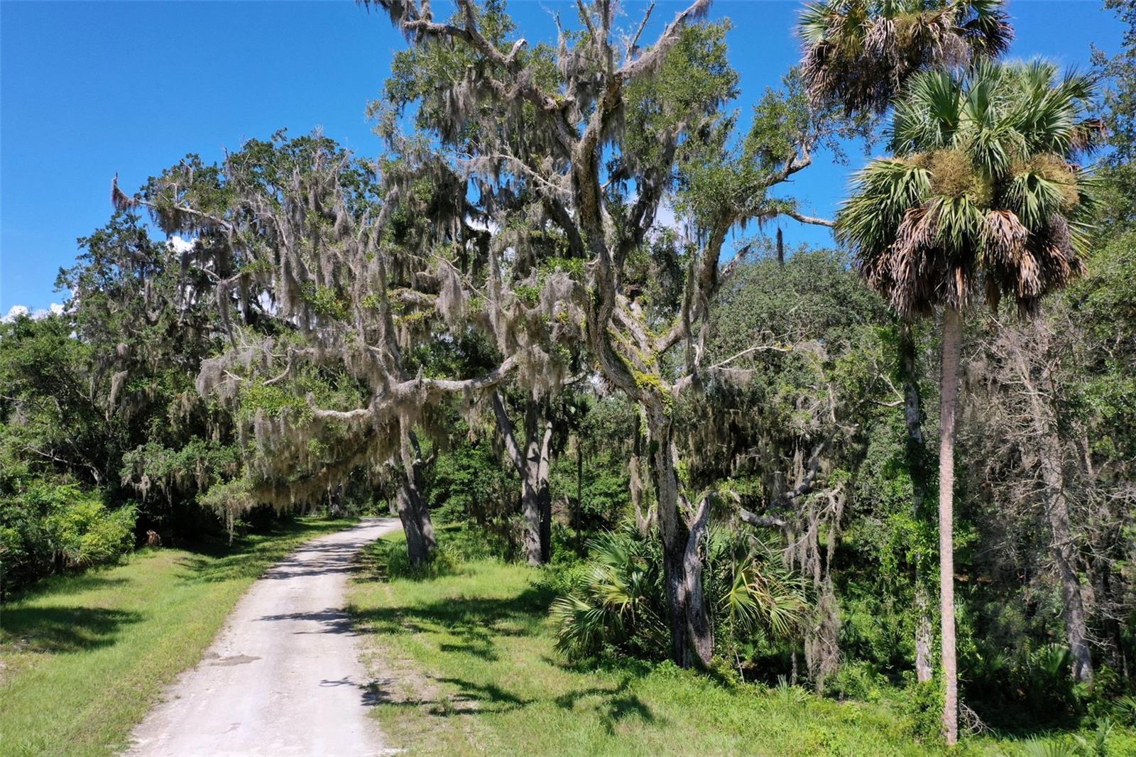 2822 JOHN ANDERSON HWY