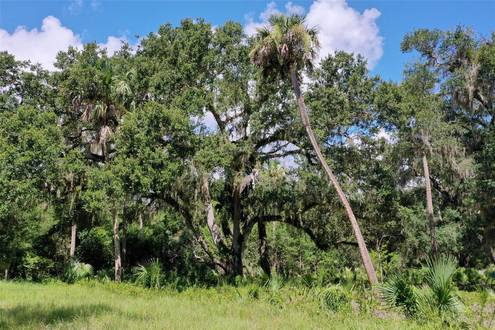 2822 JOHN ANDERSON HWY