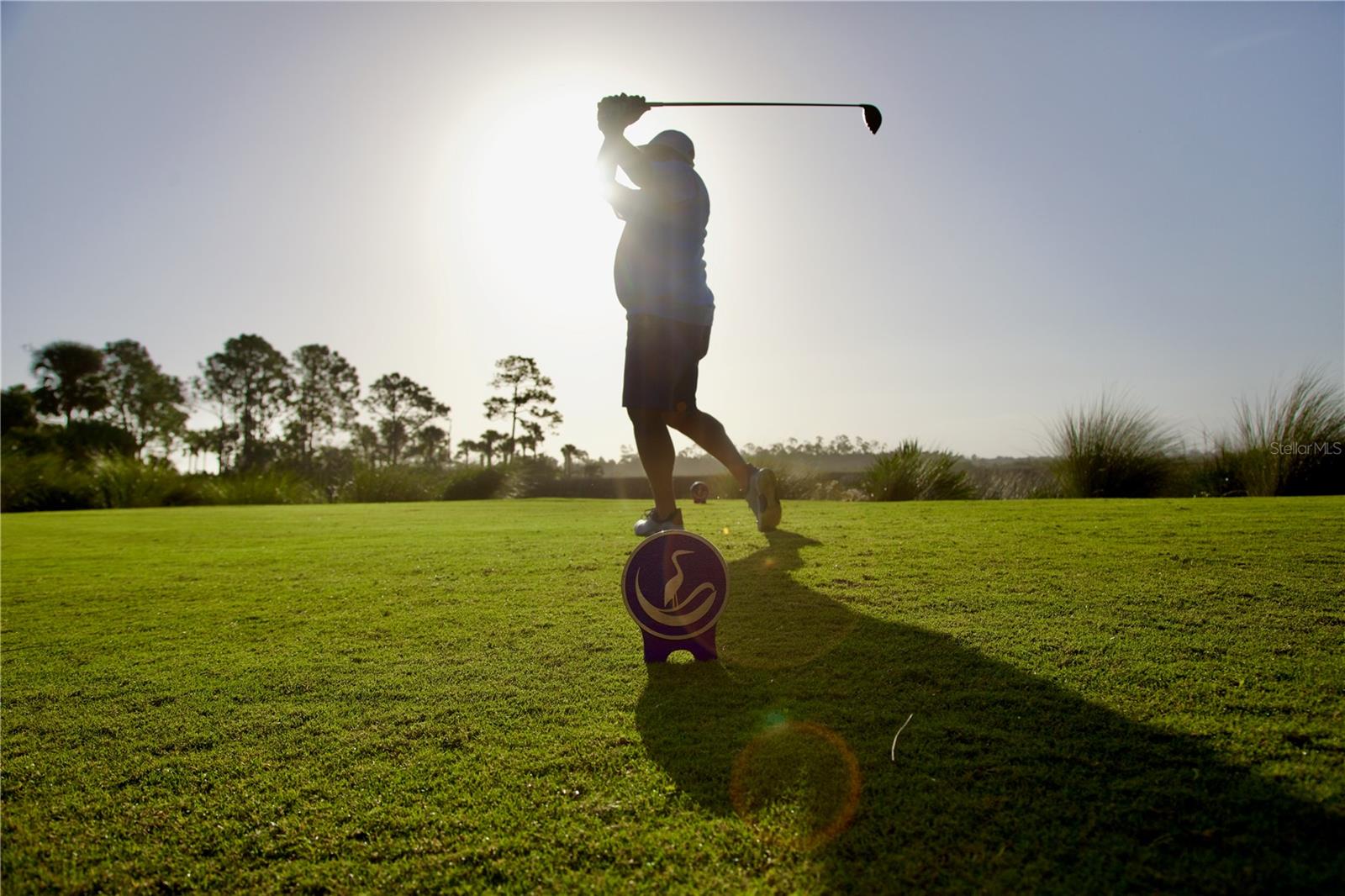 3777 N OCEAN SHORE BLVD