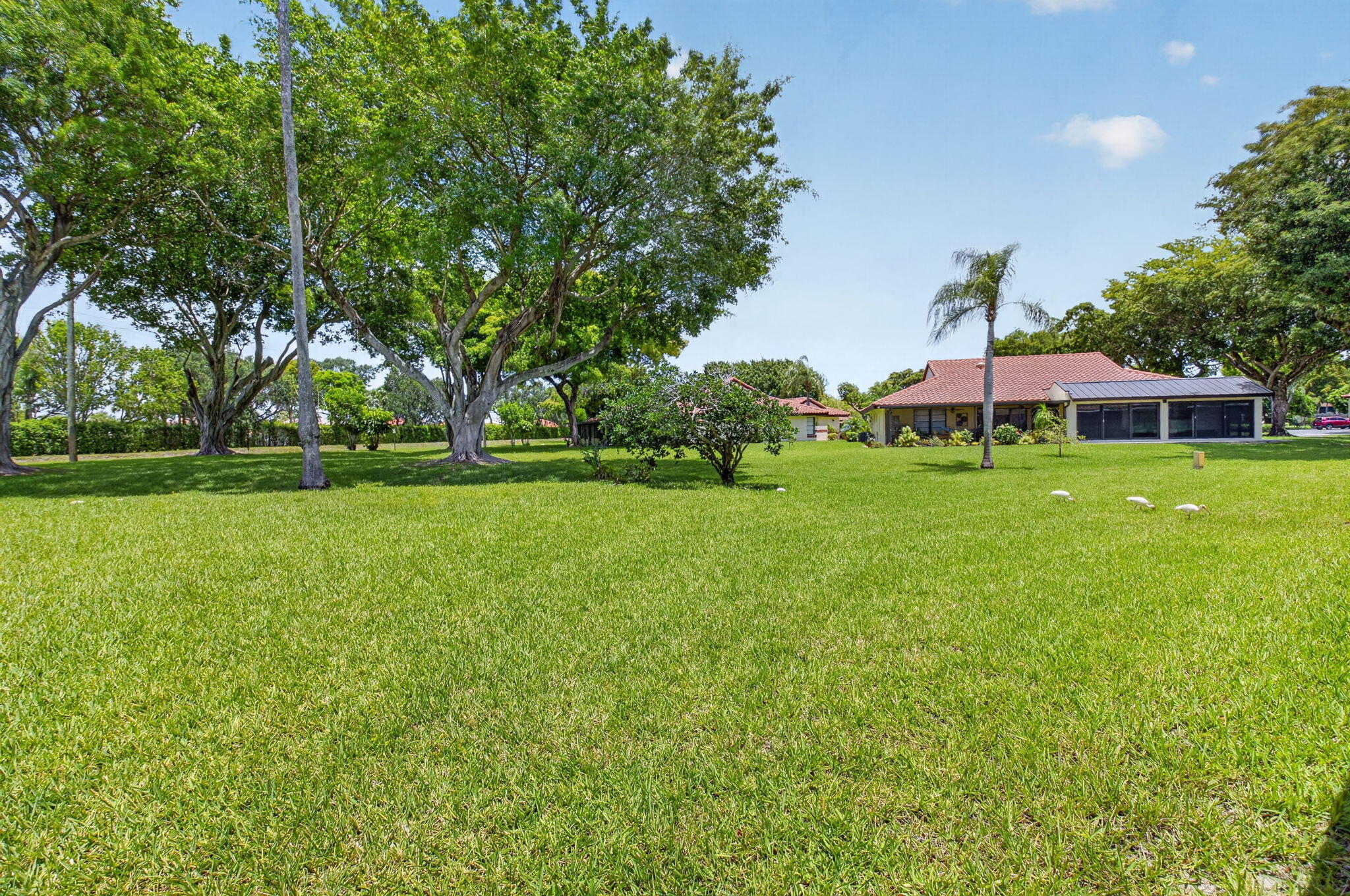 10939 Roebelini Palm Court A