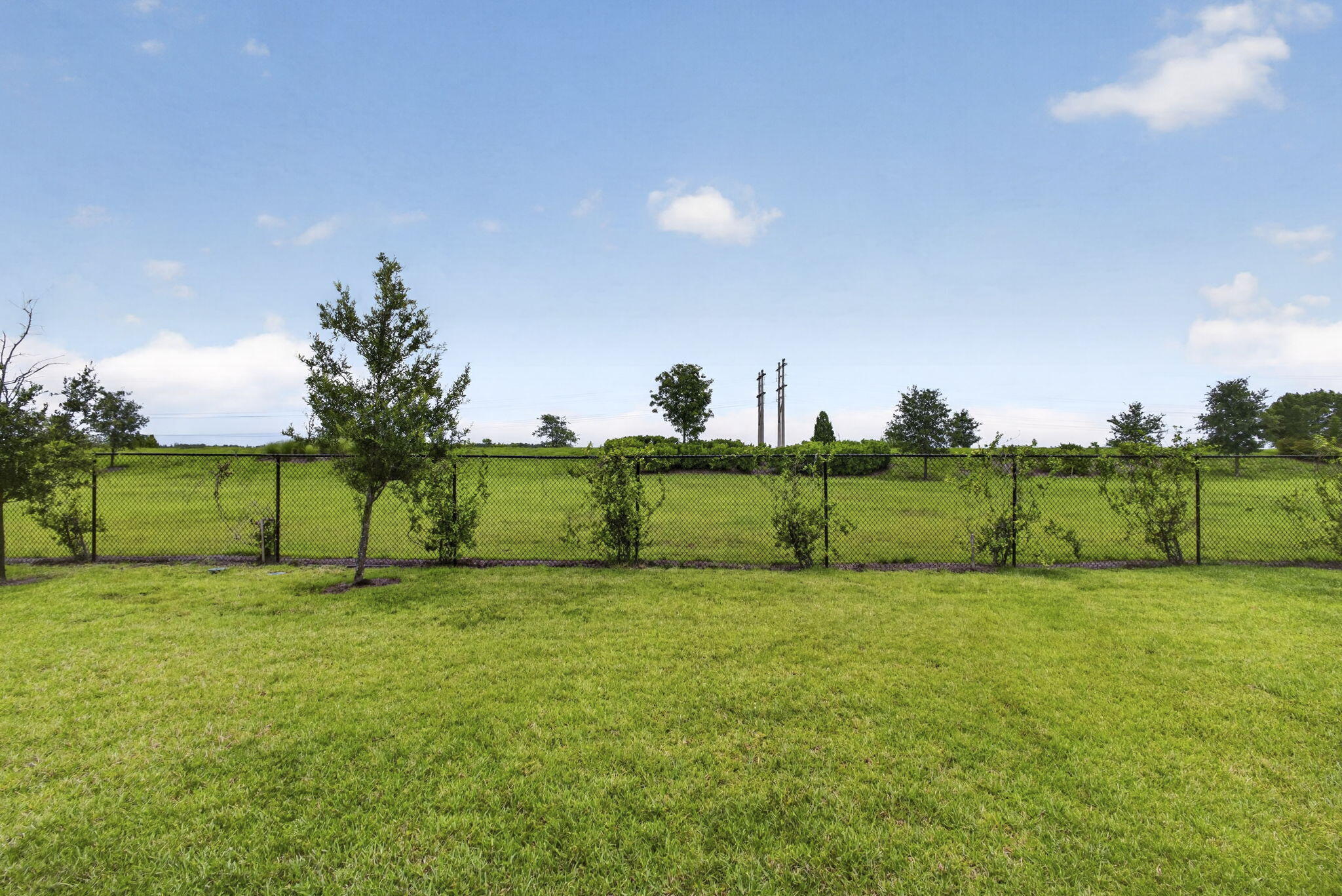 1290 Tangled Orchard Trace