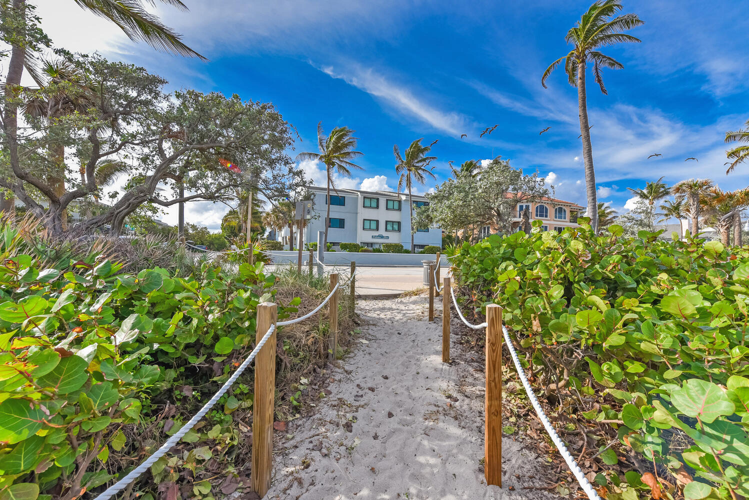 250 S OCEAN Boulevard 261
