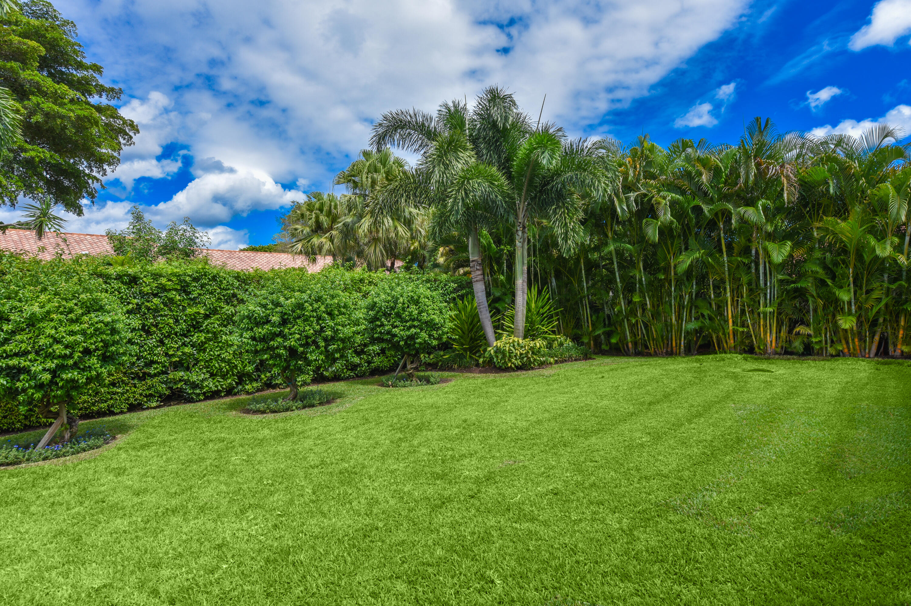 4561 OAK TREE Court