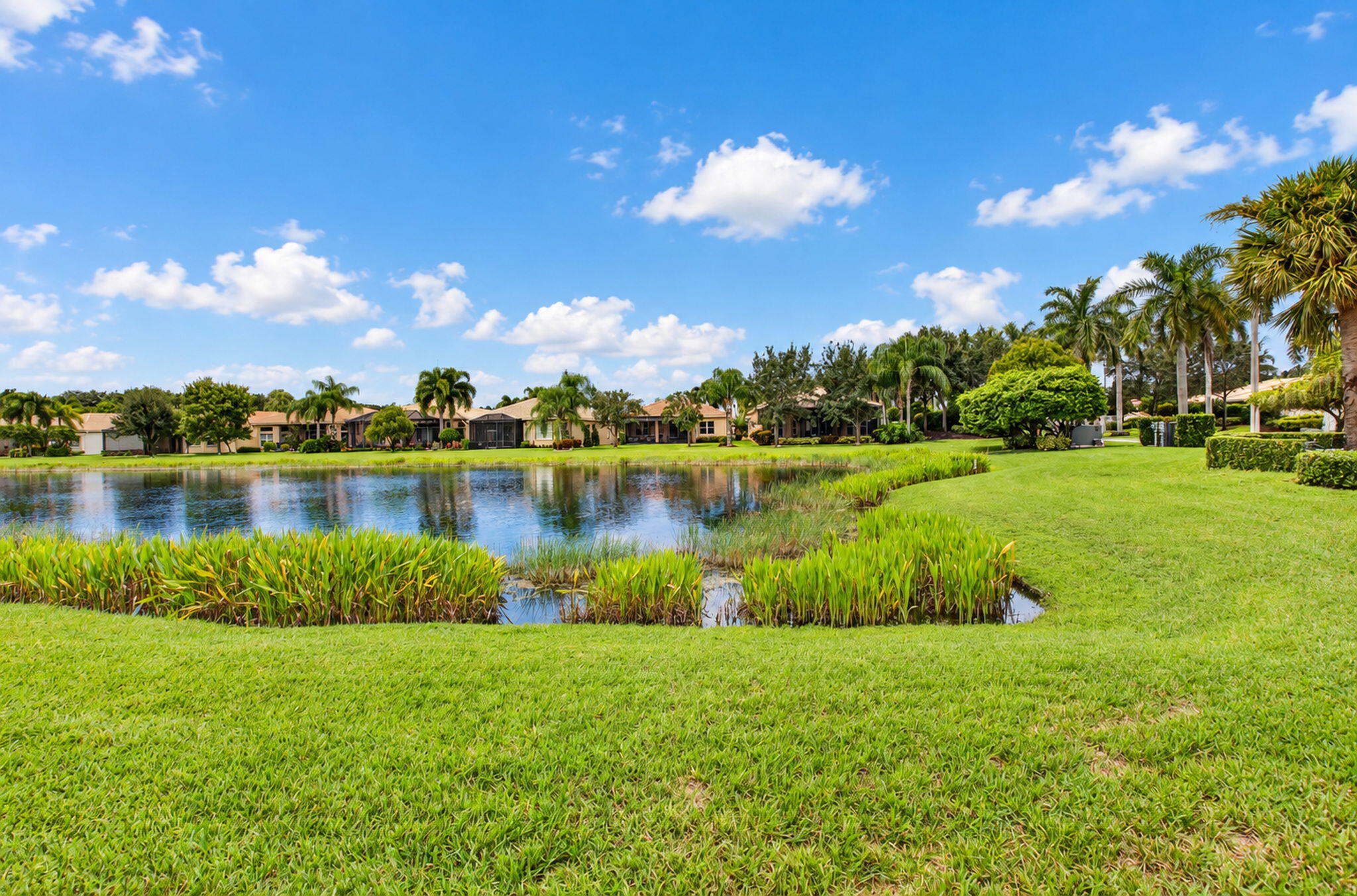 9088 Ribbons Ridge Point