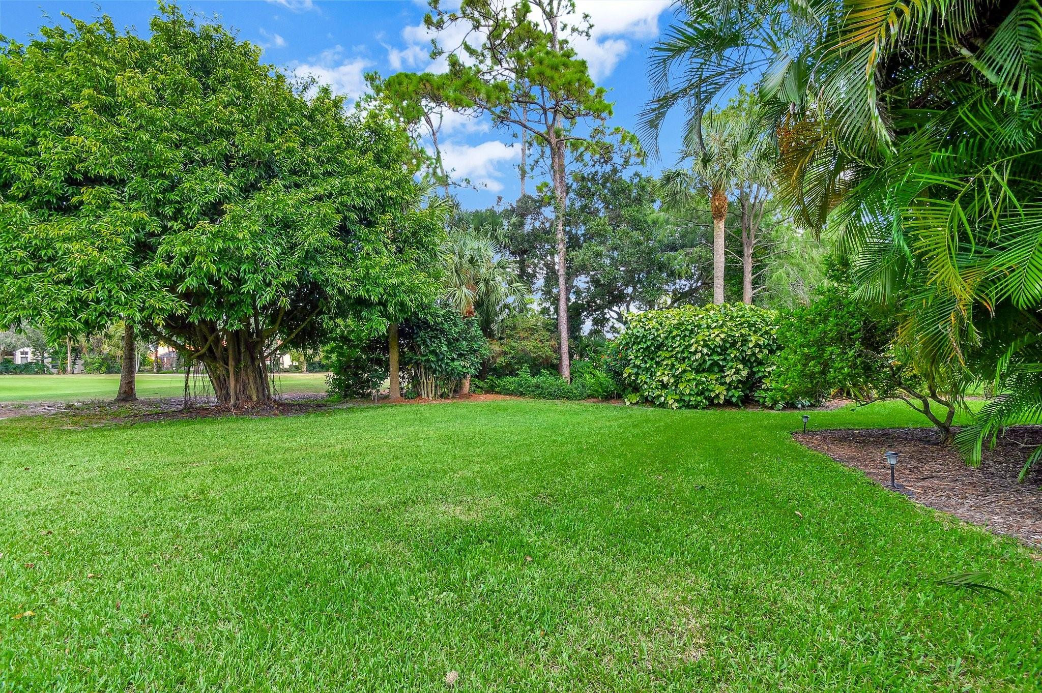 541 Cypress Crossing Crossing