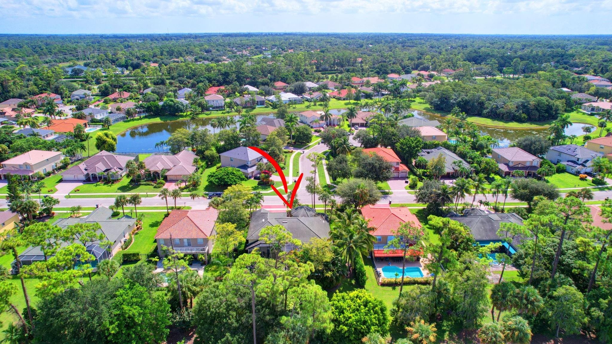 541 Cypress Crossing Crossing