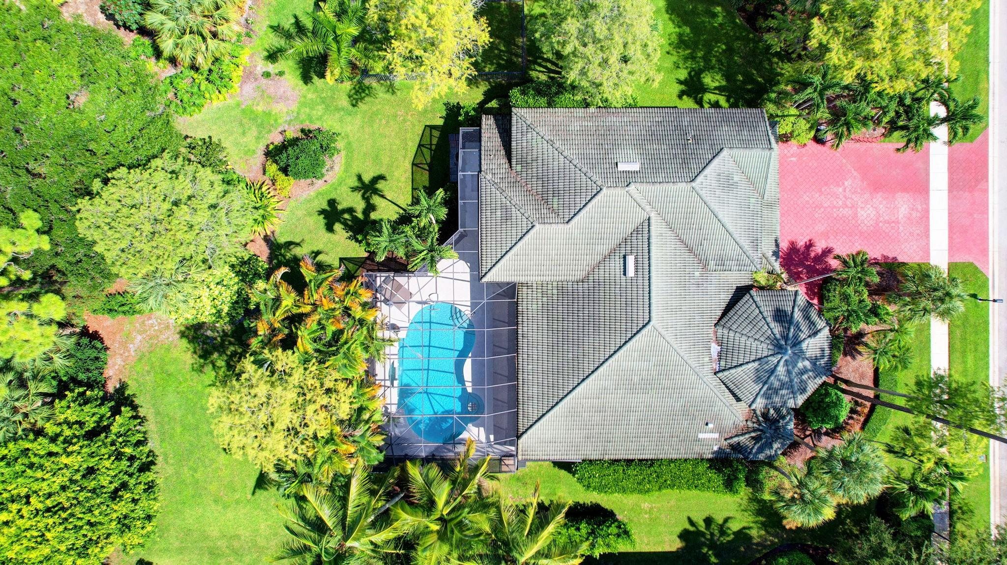 541 Cypress Crossing Crossing