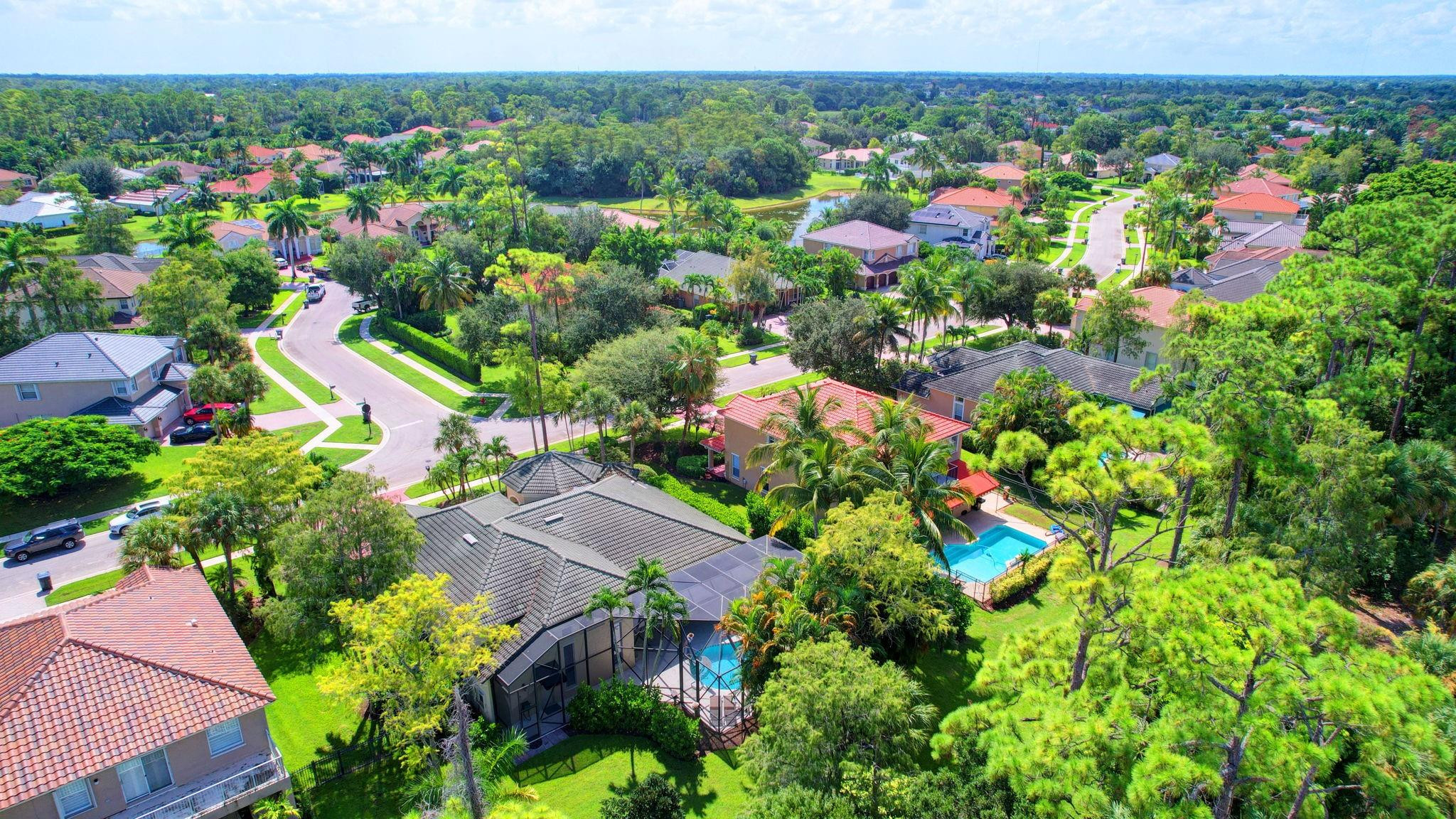 541 Cypress Crossing Crossing