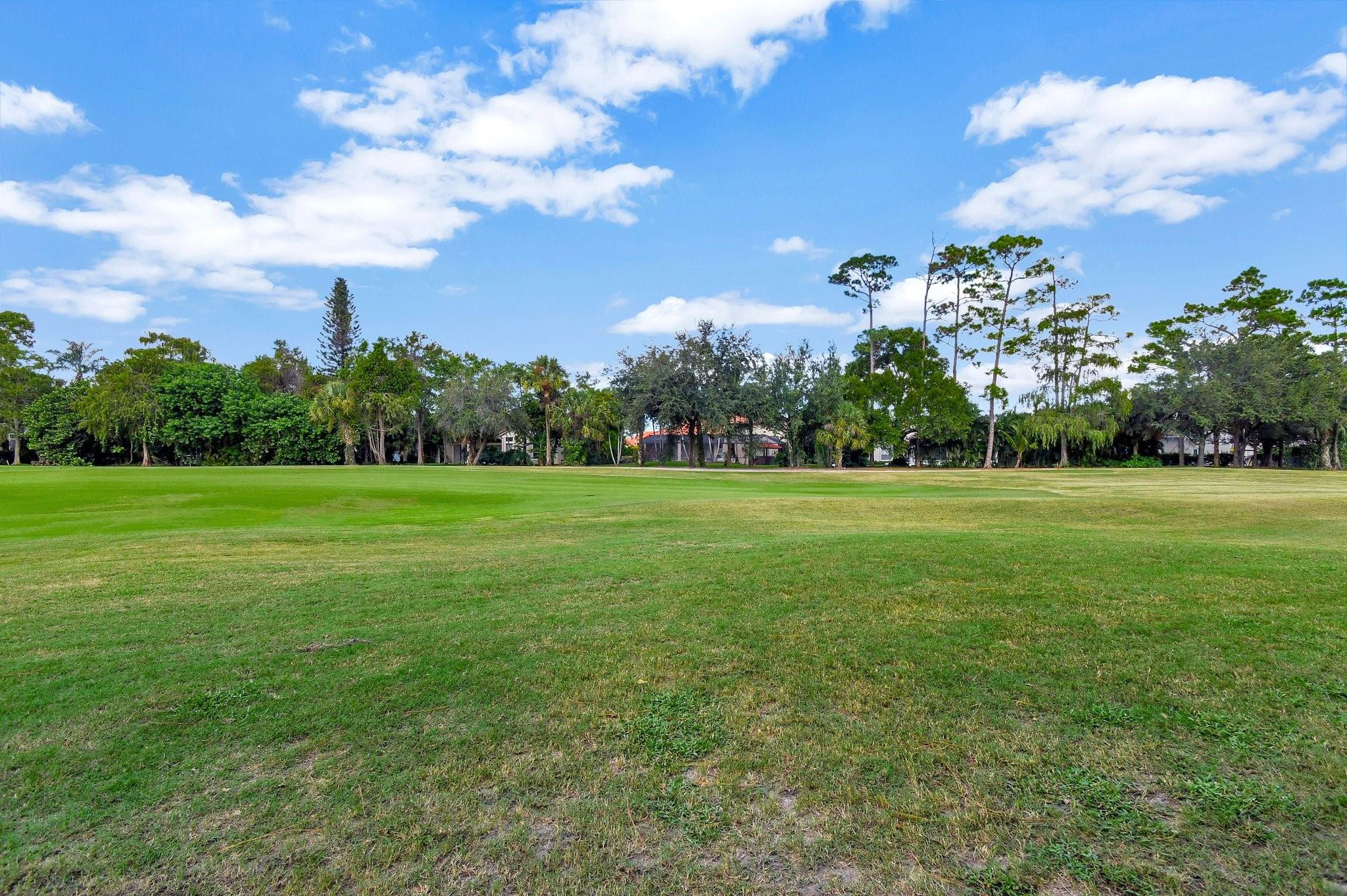 541 Cypress Crossing Crossing