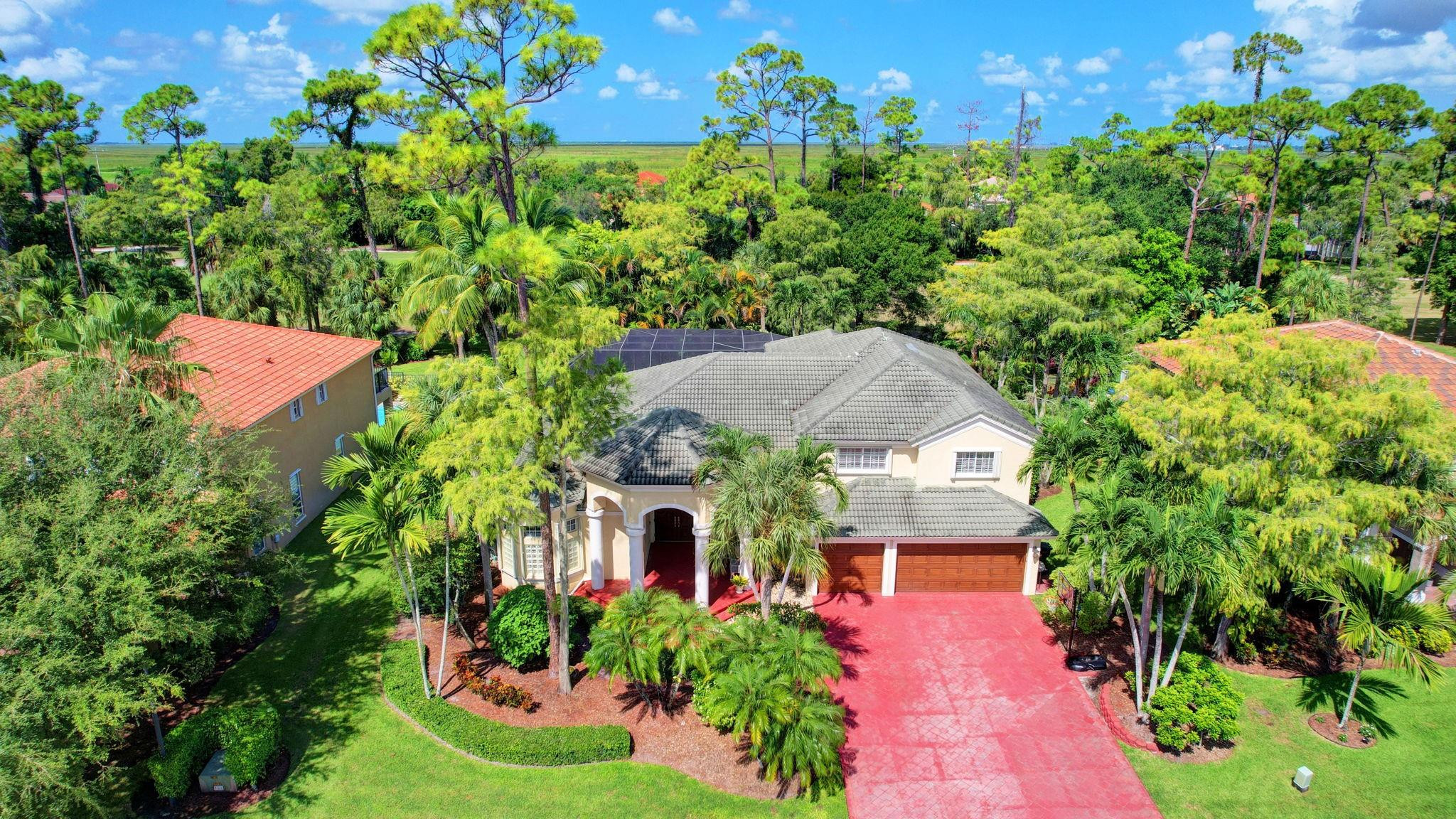 541 Cypress Crossing Crossing