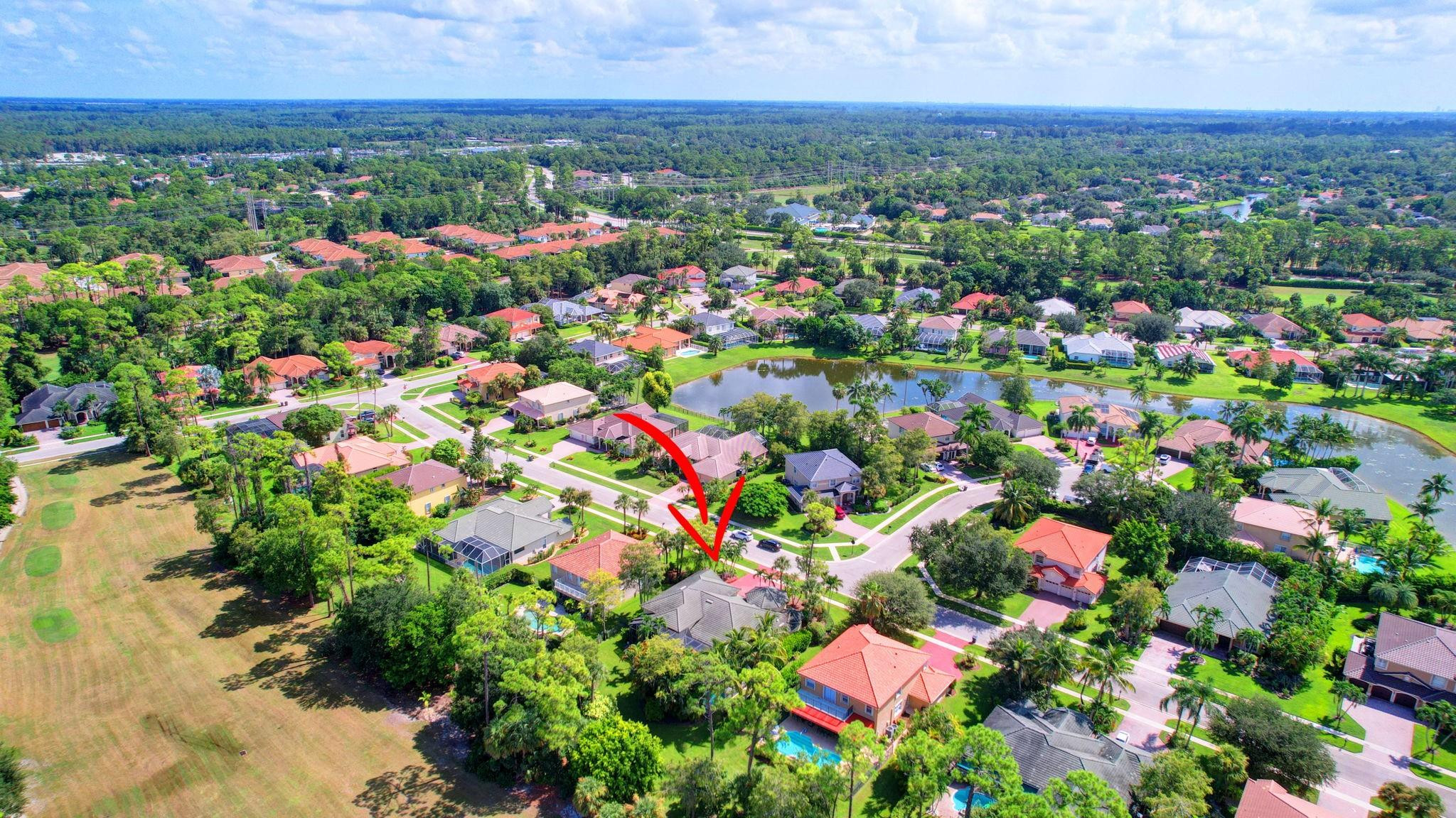 541 Cypress Crossing Crossing