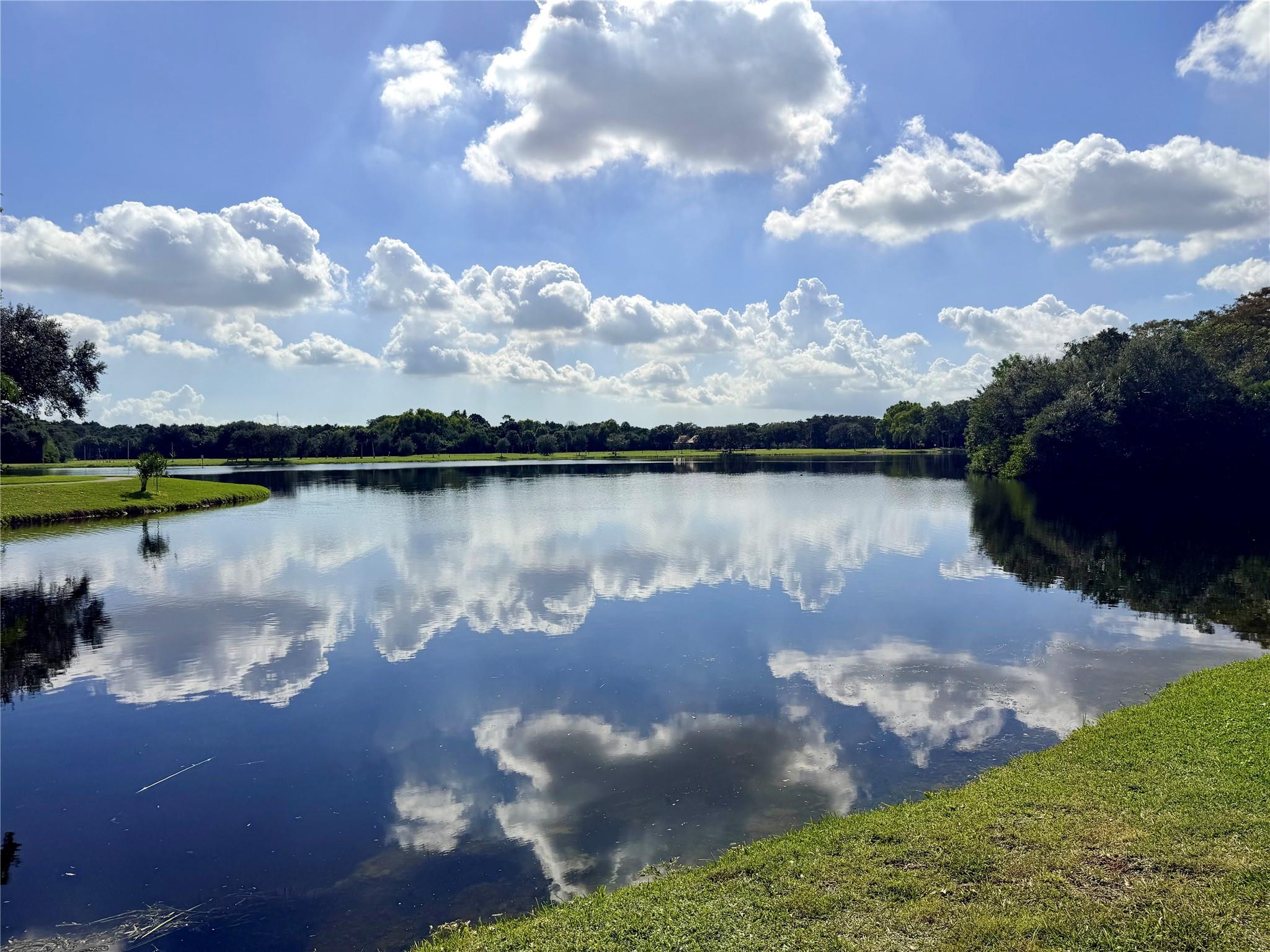 2907 Carambola Cir S 201