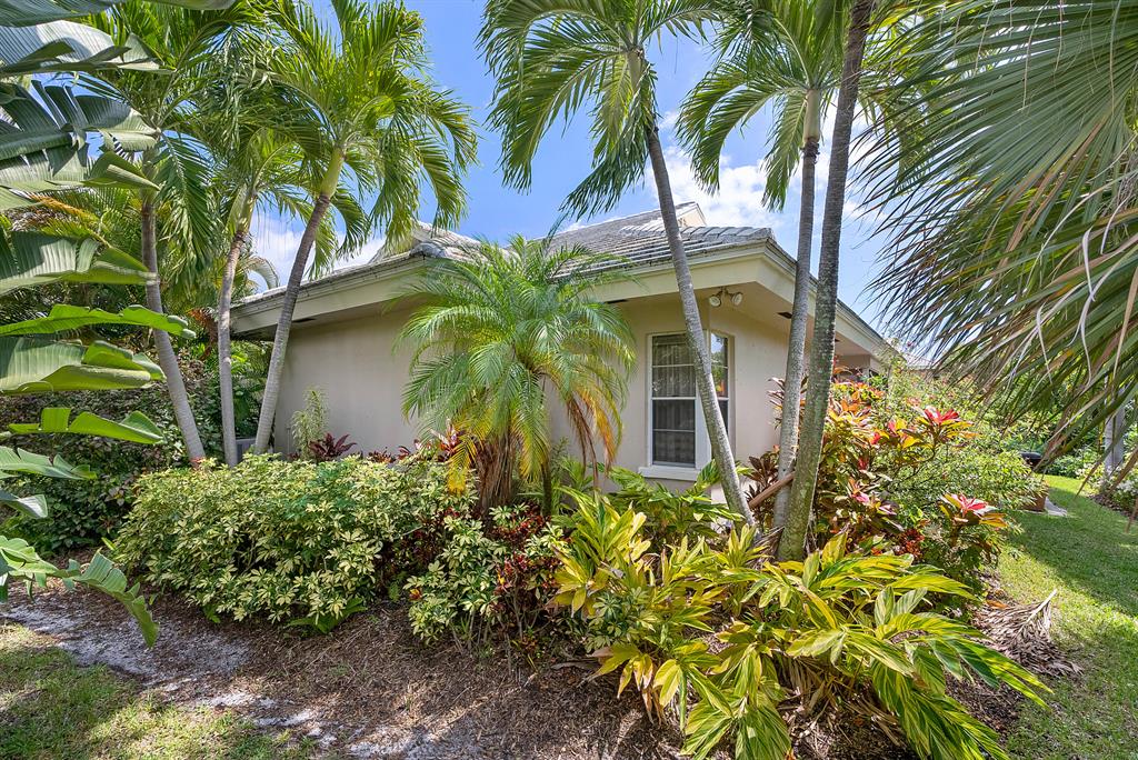 660 Forsyth Street Unit: 7