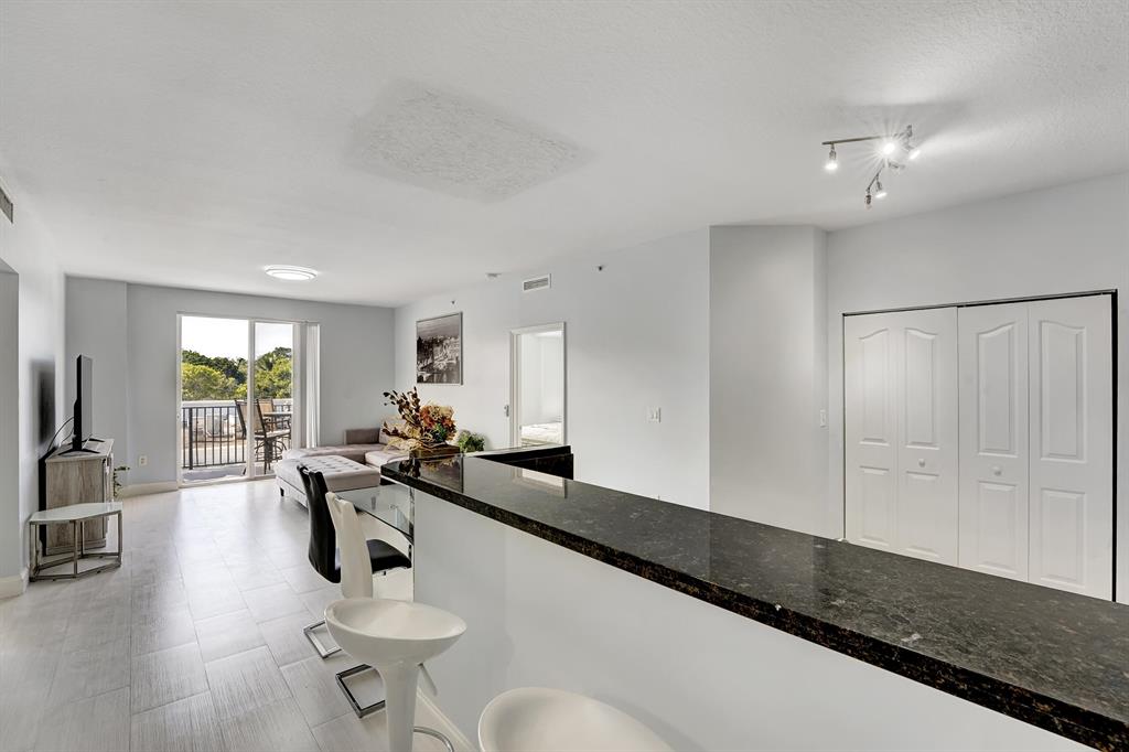 250 NE 3rd Avenue Unit: 1317