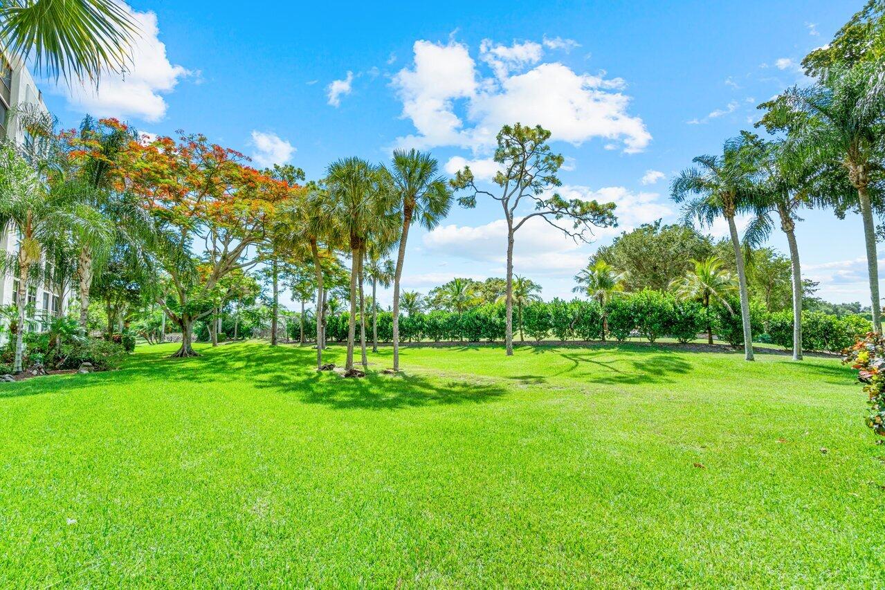 6662 Boca Del Mar Drive Unit: 215