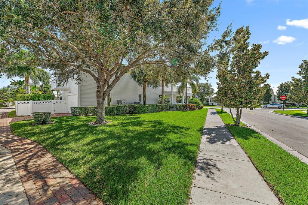 1169 Tropical Drive