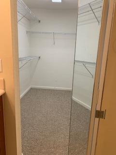 16097 Poppyseed Circle Unit: 1901