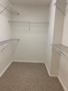 16097 Poppyseed Circle Unit: 1901
