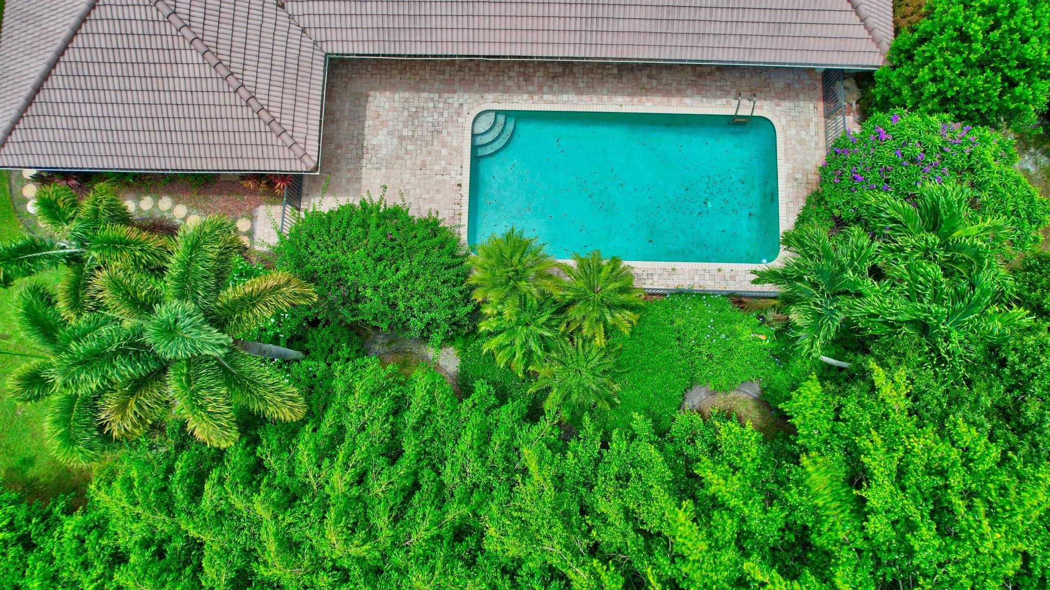 3155 Equestrian Drive