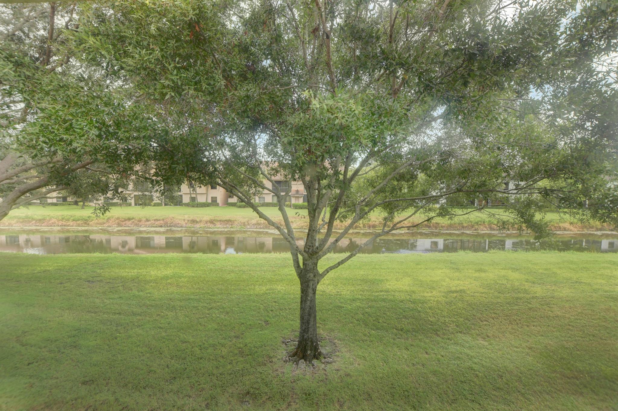9668 Sills Drive E Unit: 203
