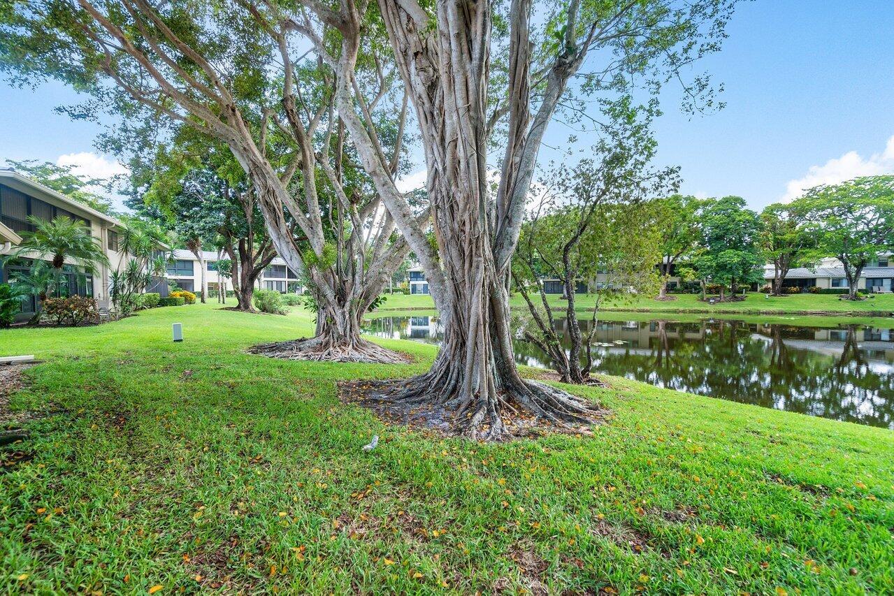 6 Westgate Lane Unit: A