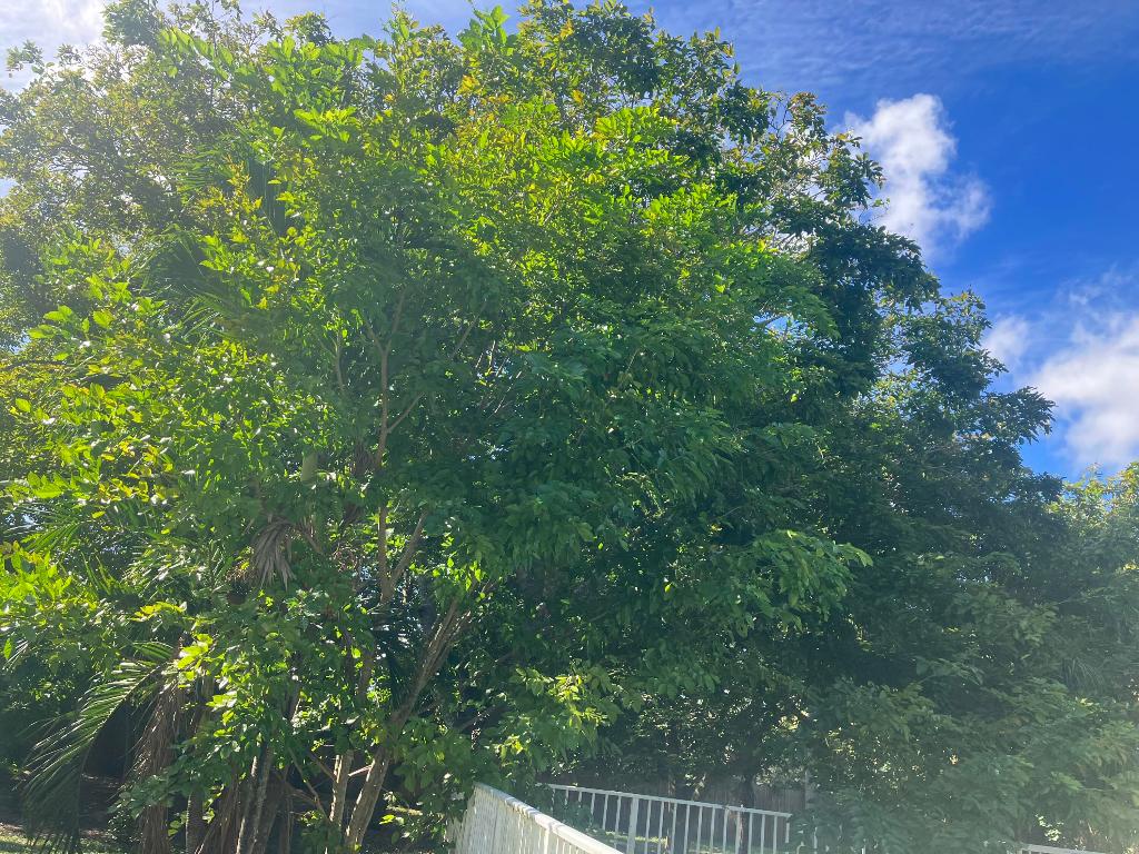 3892 Frances Drive, Delray Beach