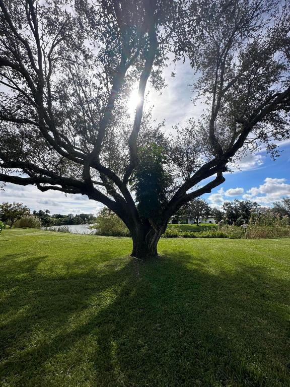 3630 Whitehall Drive 205, West Palm Beach Unit: 205